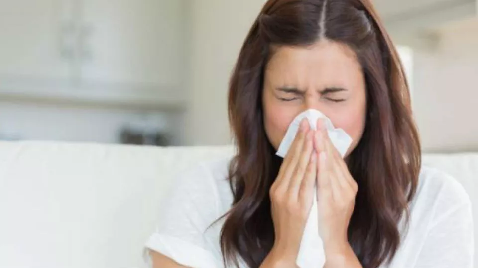 Las alergias pueden implicar picazón nasal, estornudos y obstrucción nasal